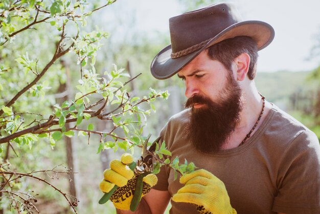 Bauer veredelt Zweig im Obstgarten Porträt des Vaters während der Arbeit im Garten