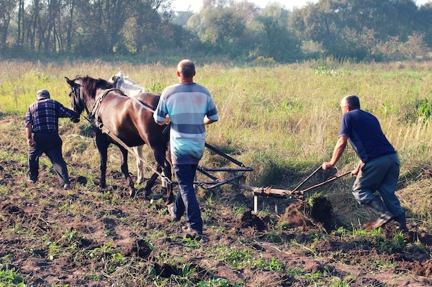 Bauern pflügen das Feld mit Pferden