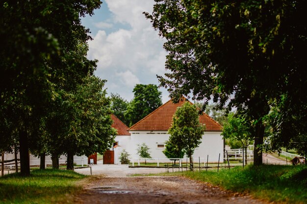 Foto bauernhaus