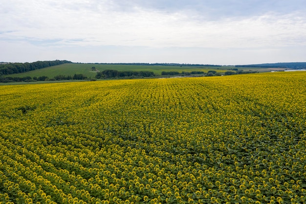 bauernhof feld landwirtschaft ansicht von oben