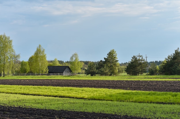 Bauernhof und Feld inmitten des Waldes.