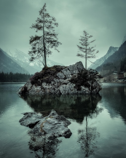 Baum am See gegen den Himmel