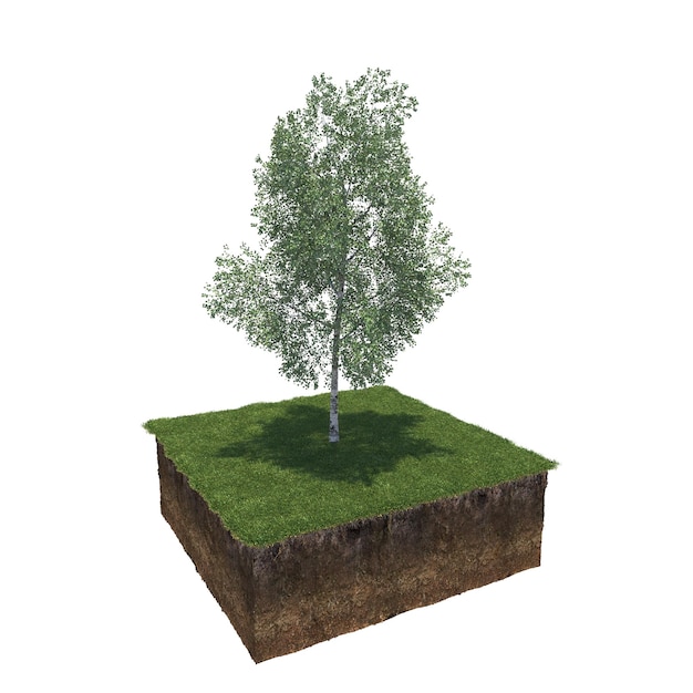 Baum auf dem Gras und ein Stück Erde darunter, 3D-Rendering