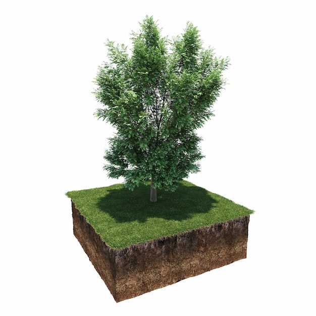 Baum auf dem Gras und ein Stück Erde darunter, 3D-Rendering