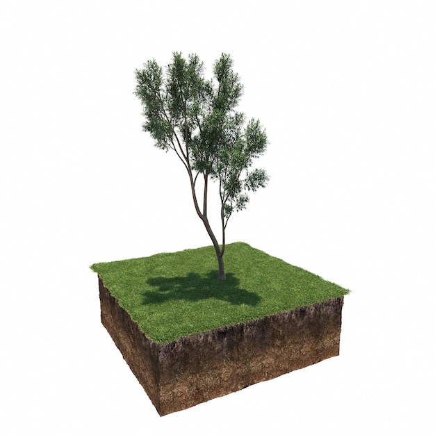 Baum auf dem Gras und ein Stück Erde darunter, 3D-Rendering