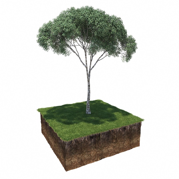 Baum auf dem Gras und ein Stück Erde darunter, 3D-Rendering