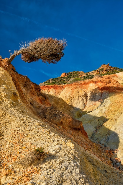 Foto baum auf hügelhang milos insel griechenland