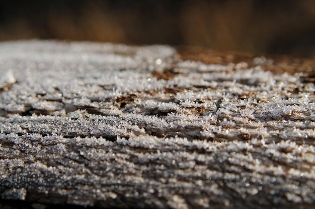 Baum bedeckt mit Frostnahaufnahme