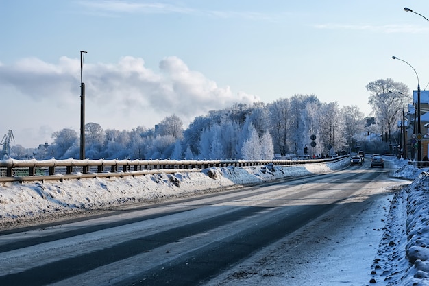 Baum entlang der Straße im Winter