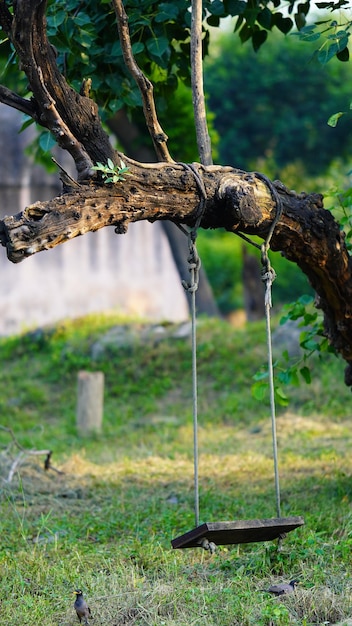 Baum hängende Hängematte HD-Bild