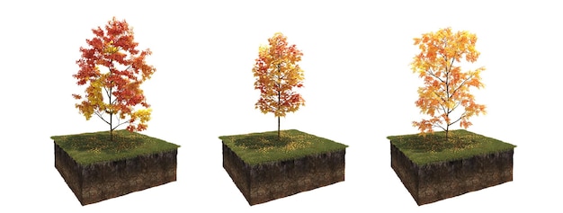 Baum im Herbst isoliert auf weißem Hintergrund, 3D-Darstellung, cg-Rendering