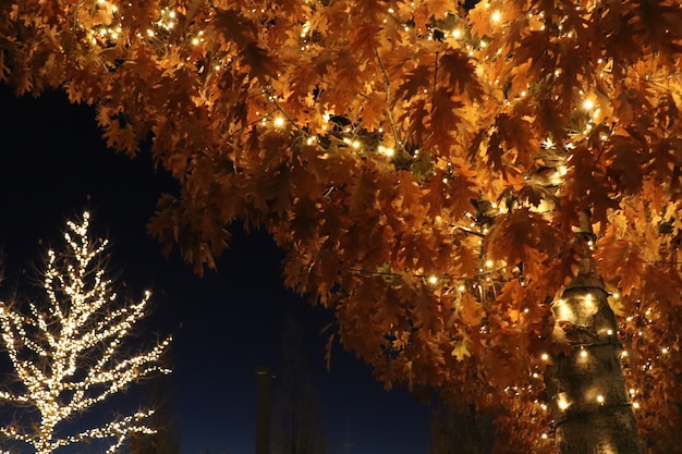 Baum mit leuchtenden Lichtern, Hintergrund des neuen Jahres, Weihnachten