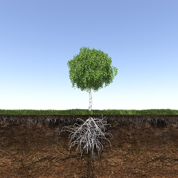 Baum mit starken und tiefen Wurzeln, 3D-Rendering