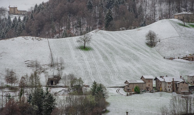 Baum mit verschneiter Wiese