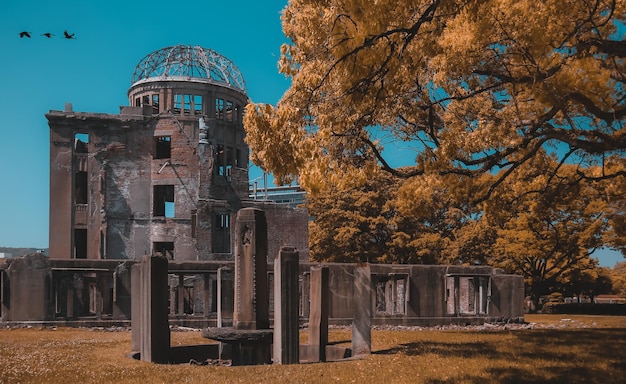 Baum neben historischen Gebäuden gegen den Himmel