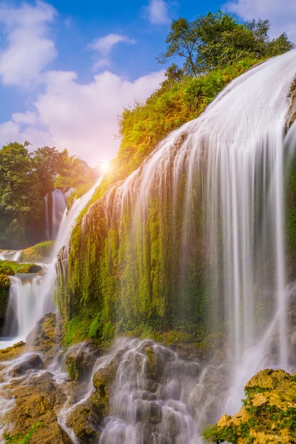 Baum Reise Hintergrund Wasser Schönheit