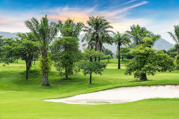 Baum- und Sandbunker im Golfplatz