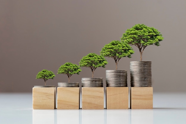 Baum wächst auf einem Haufen von Münzen und Holzblöcken, das Konzept der Finanzen und des Wirtschaftswachstums.