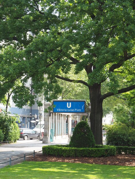 Foto baum wächst in berlin