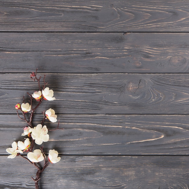 Foto baumast mit weißen blumen auf holztisch