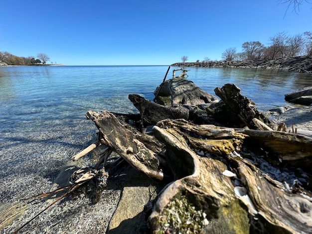 Foto baumfragmente aus wasser meereslandschaft mit felsen blaues meerwasser felsen unter wasser