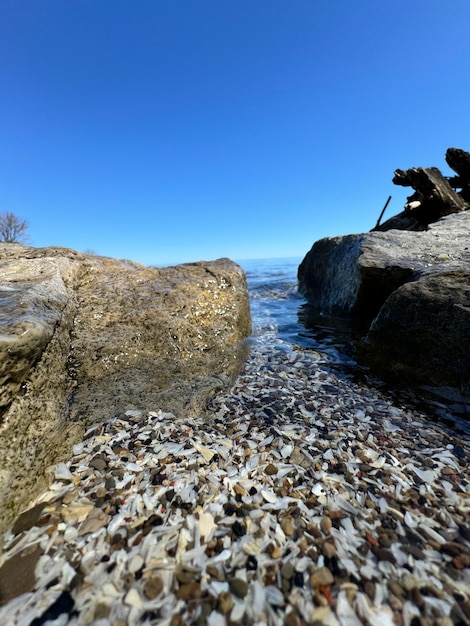 Baumfragmente aus Wasser Meereslandschaft mit Felsen Blaues Meerwasser Felsen unter Wasser