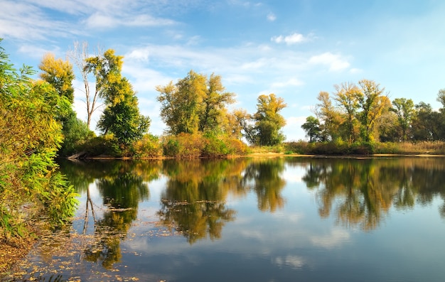 Baumreflexionen im See im Herbst. Schöner Park