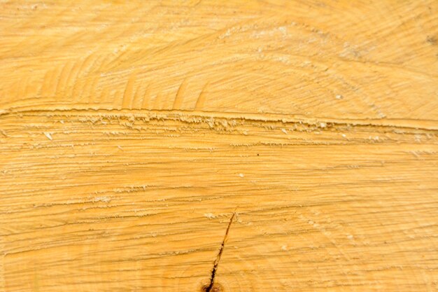 Baumring-Blockholz. Natürliche organische Textur mit rissiger und rauer Oberfläche. Nahaufnahme Makroansicht des Endes geschnittenen Holzbaumabschnitts mit Rissen. Holzoberfläche mit Jahresringen.