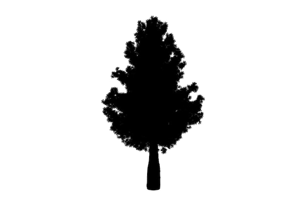 Baumsilhouette, botanisches Kunstwerk, saisonale Holzformkunst