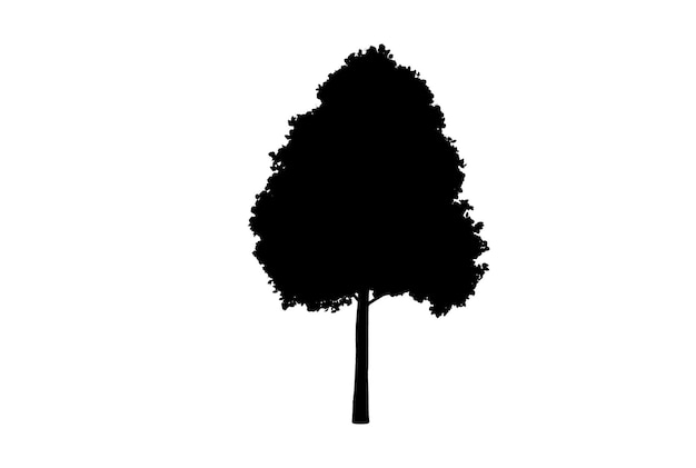 Baumsilhouette, botanisches Kunstwerk, saisonale Holzformkunst