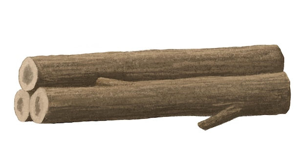 Baumstämme png Aufkleber Natur Illustration durchsichtiger Hintergrund
