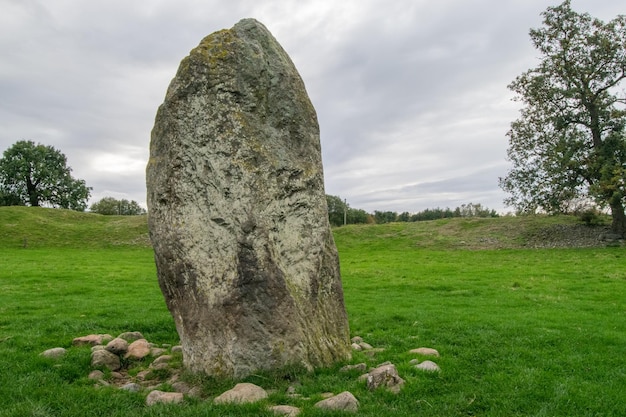 Baumstamm auf dem Feld gegen den Himmel