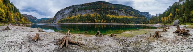 Foto baumstümpfe in der nähe von gosauseen oder vorderer gosausee oberösterreich farbenfroher herbstalpenblick auf den bergsee mit klarem, transparentem wasser und reflexionen dachsteingipfel und gletscher in der ferne