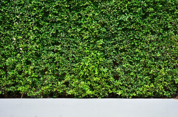 Baumwand an neben der Straße. vertikale Gartenmauer