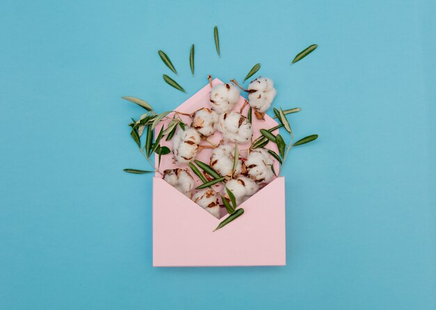 Baumwolle mit Kräutern im rosa Umschlag auf blauem Hintergrund. Ansicht von oben