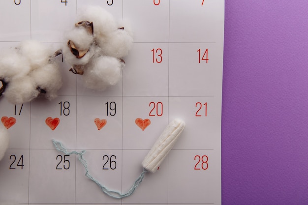 Baumwolltampon und Kalender auf einem lila Hintergrund. Hygieneschutz für Frauentage.