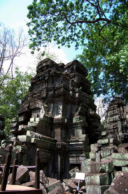 Baumwurzeln und antike Ruinen, antikes Gebäude Prasat Ta Prohm oder Ahnen-Brahma-Tempel von Angkor Wat für kambodschanische Reisende, die reisen, besuchen Sie Respekt, der in Angkor Thom in Siem Reap, Kambodscha, betet