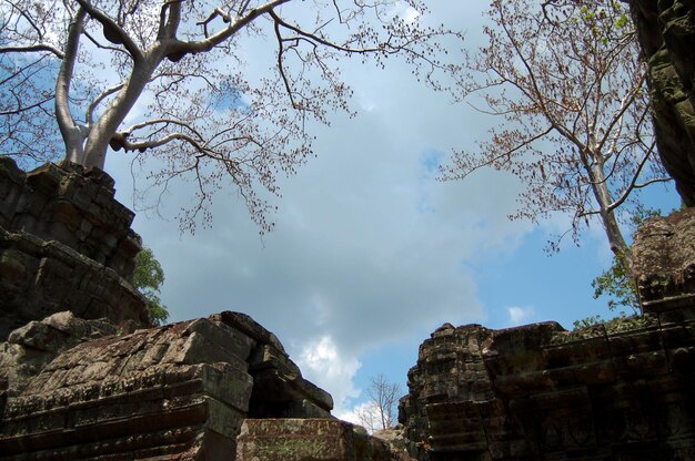 Baumwurzeln und antike Ruinen, antikes Gebäude Prasat Ta Prohm oder Ahnen-Brahma-Tempel von Angkor Wat für kambodschanische Reisende, die reisen, besuchen Sie Respekt, der in Angkor Thom in Siem Reap, Kambodscha, betet