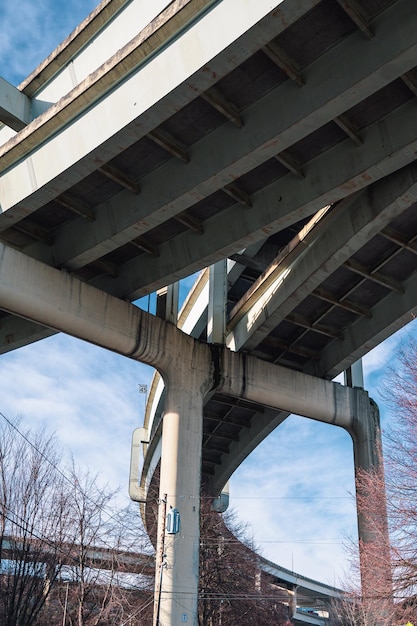 Foto baumzweige unter der brücke foto