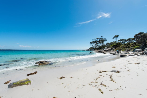 Bay of Fires Tasmânia Austrália