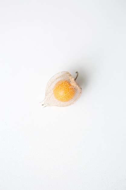 Baya de oro fruta orgánica physalis peruviana bayas frescas