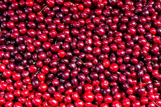 Baya roja cereza fresca fruta abstracta textura de fondo colorido