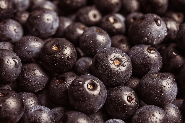 Bayas de acai frescas como fondo