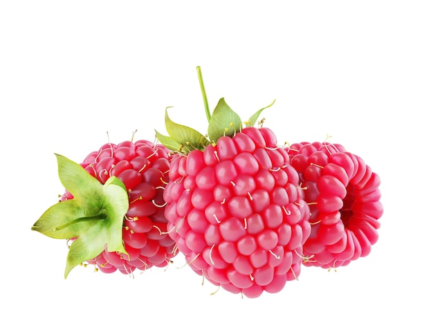 Bayas aisladas Tres frutas de frambuesa aisladas sobre fondo blanco con trazado de recorte 3D Render