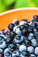 Foto bayas de aronia congeladas en un cuenco