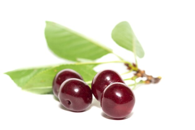 Bayas de cereza de cerca aislado sobre un fondo blanco.