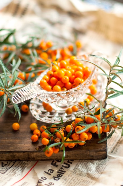 Las bayas de espino amarillo son frescas y una rama con hojas. Foto de época Vitaminas y salud.