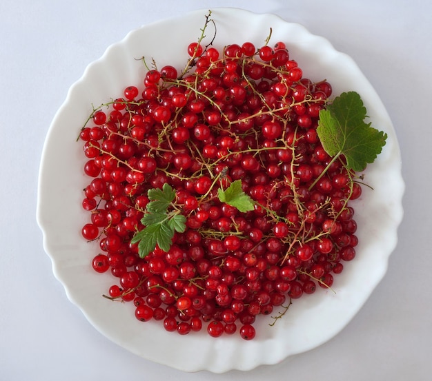 Bayas de grosella roja en un plato