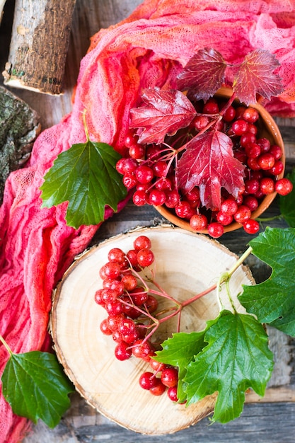 Bayas maduras de viburnum en una rama con hojas, vista superior