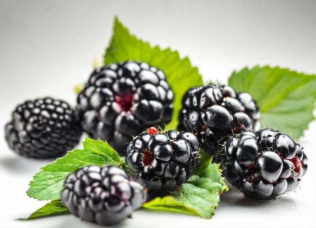 Bayas de moras maduras con hojas